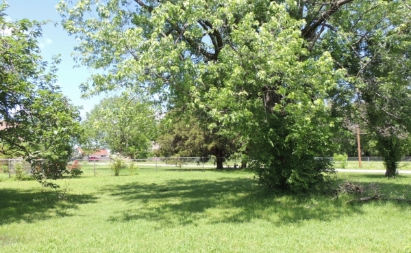 05 Backyard