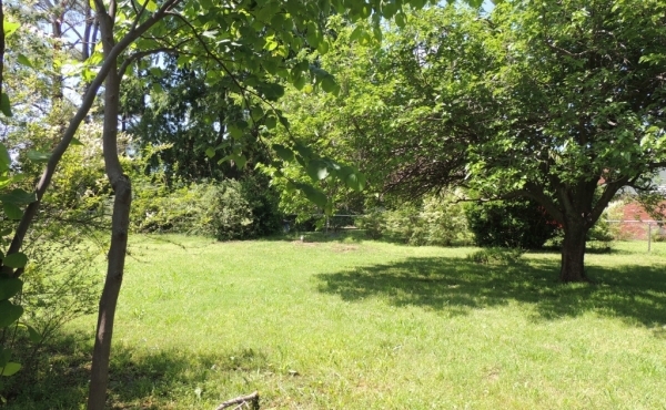 06 Backyard