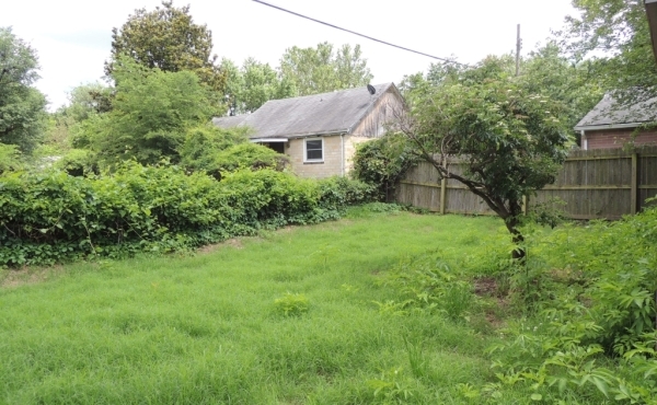 05 Shared Backyard