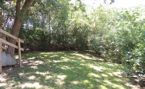 03 Backyard